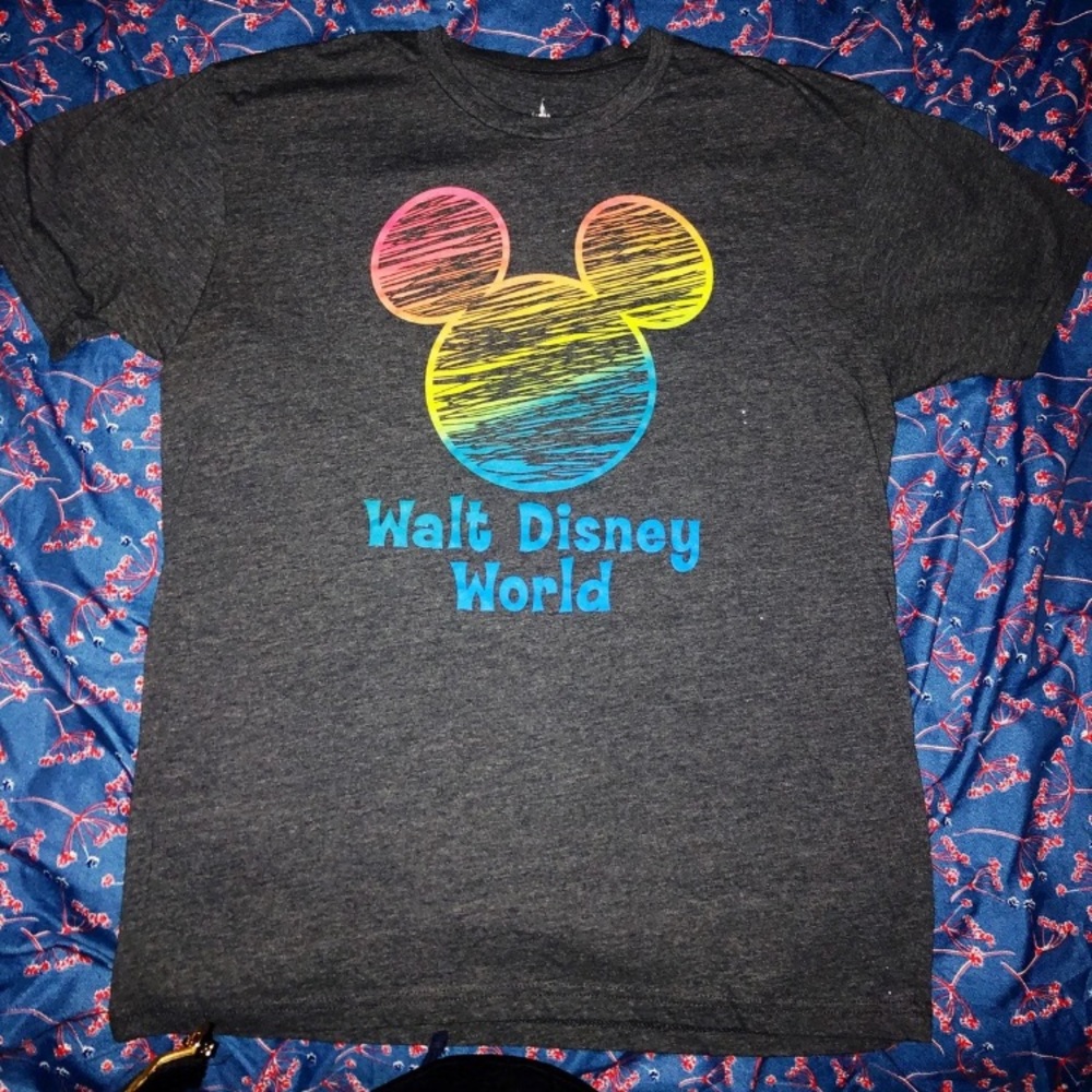 Disney Parks grey women’s shirt. Size LG